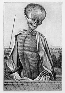 Dokter Dood, uit een Getijdenboek, illustratie uit Wetenschap en Literatuur in de Middeleeuwen en de Renaissance, geschreven en gegraveerd door Paul Lacroix, 1878 door French School