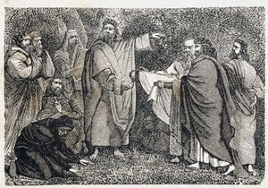 Druïden die maretak plukken - in 