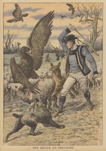 Arenden vallen een kudde schapen aan in Bretagne (kleurenlitho) door French School