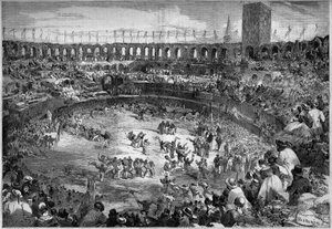 Farandole gedanst in de arena van Arles