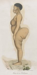 Femme de race Bochismann. Deze plaat is blijkbaar een afbeelding van Sara (Saartjie) Baartman (1789-1815) die een Khoisan was die uit Zuid-Afrika werd overgebracht om publiekelijk tentoongesteld te worden in Piccadilly onder de titel 