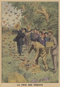 Vogel festival in België