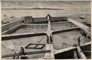 Visserij in Concarneau - Bretagne - Visserijbedrijf - Concarneau - Finistère - Bretagne - gravure in 