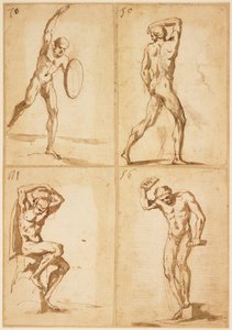 Vier studies van mannelijke naakten