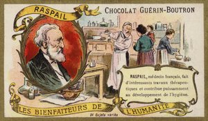 Francois-Vincent Raspail, Franse arts door French School