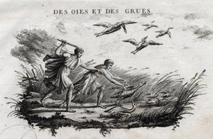 Ganzen en kraanvogels - Fabel van Aesopus (Griekse schrijver Aesopus, 6e eeuw v.Chr.) geschreven door Guillaume Montfort en gegraveerd door Beauble in 1801