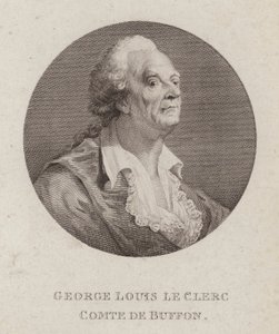 Georges-Louis Leclerc, Graaf van Buffon, Franse natuuronderzoeker door French School