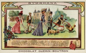 Gymkhana door French School