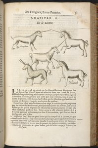 Histoire générale des Drogues, traitant des plantes, des animaux et des mineraux, door Pierre Pomet