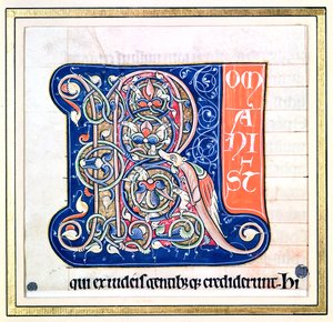 Geïllustreerde initiaal 