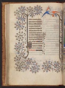 Getijdenboek van de Maagd, Getijdenboek, Add MS 32454 f.37v, Frankrijk door French School