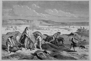 Jacht op guanaco (wilde lama) en nandou (of Patagonische struisvogel) in Argentinië - in Tour du Monde, 2e week 1861 door French School