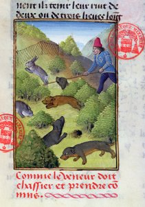 Konijnen jagen met honden en netten, uit het Livre de la Chasse door Gaston Phebus door French School