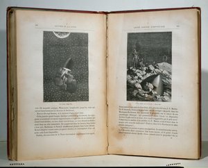 Illustraties uit Rond de maan door Jules Verne door French School