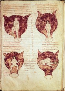 Illustraties van de foetus, uit het zogenaamde Rhodion-manuscript