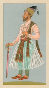 Indiase Kostuum
