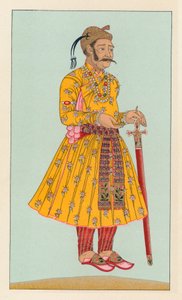 Indiaas Kostuum