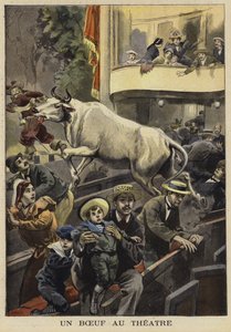 Onderbreking van een theateruitvoering door een os, Villefranche-de-Lauragais, Frankrijk, 1897