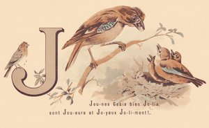 J: Jonge Vlaamse Gaaien Zijn Spelers en Gelukkig Jolig! door French School