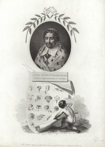 Joseph Pitton de Tournefort door French School