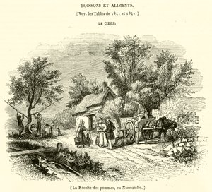 De Appeloogst in Normandië door French School