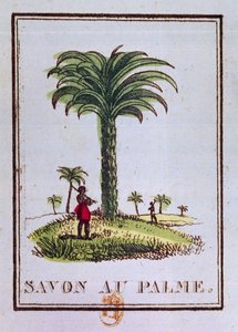 Etiket voor een palmoliegeurende zeep, met een palmboom door French School