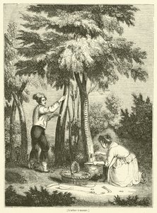 De boom van manna (gravure)