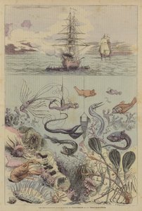 De Onderwaterverkenningen van de Talisman en de Arbeider door French School
