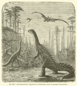 De dinosauriërs, Stegosaurus en Compsognathus, in een landschap van araucariaceae (gravure)