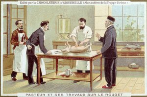 Louis Pasteur (1822-95) werkend aan het onderzoek naar mazelen, reclamekaart voor de Chocolaterie d