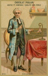 Luigi Galvani door French School