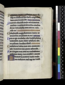 Uit de Psalter en Uren van Isabella van Frankrijk door French School