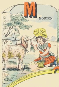 M: schaap