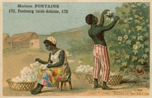 Maison Fontaine handelskaart, katoenoogst