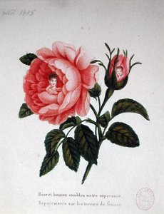 Marie-Louise (1791-1847) met haar zoon de Koning van Rome (1811-32)