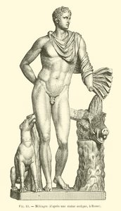 Meleager