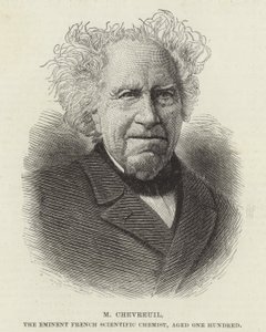 Michel Eugene Chevreul door French School