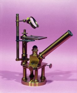 Microscoop van Louis Pasteur (1811-95) (metaal) door French School