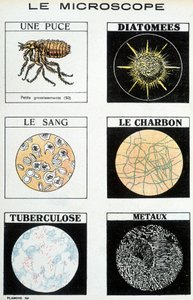 Microscopen: een chip, diatomeeën, bloed, steenkool, tuberculose, metalen door French School