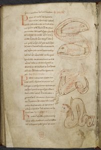 Verzameling werken over computus en astronomie, Royal MS 13 A XI door French School