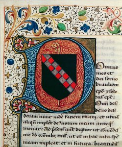 Ms 167 fol.69 Geïllustreerde initiaal 
