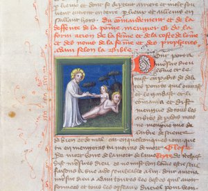 Ms 313 Schepping van Eva, uit de Bijbel des Grands Augustins, 1494