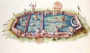 De baden van Nerys in Neris-les-Bains, illustratie uit 