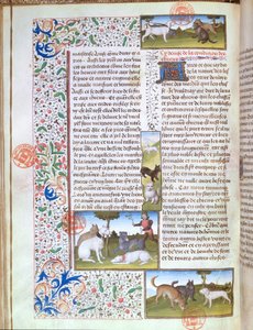Jachthonden, uit het Livre de la Chasse door Gaston Phebus de Foix