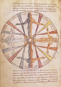 Ms 422 fol.6v Wiel van de seizoenen en maanden, uit De Natura Rerum door St. Isidorus van Sevilla door French School