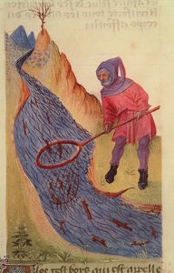 Ms 59 fol.3r Visser, uit Grand Herbier door French School