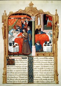 Wonderen bij het graf van St. Louis, uit Le Livre des Faiz de Monseigneur Saint Louis door French School