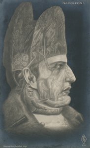 Napoleon I door French School
