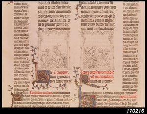 Noach in de wijngaard en de dronkenschap van Noach, uit de Bijbel van Jean Sy, c.1355