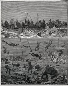 Parelvissers in Ceylon (het huidige Sri Lanka) in de 19e eeuw. Gravure uit 1885 in Les arts et métiers illustrés door Adolphe Bitard. door French School